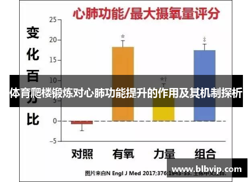 体育爬楼锻炼对心肺功能提升的作用及其机制探析